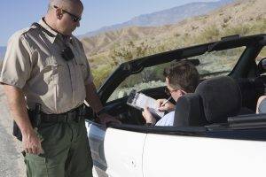 CDL Licenses