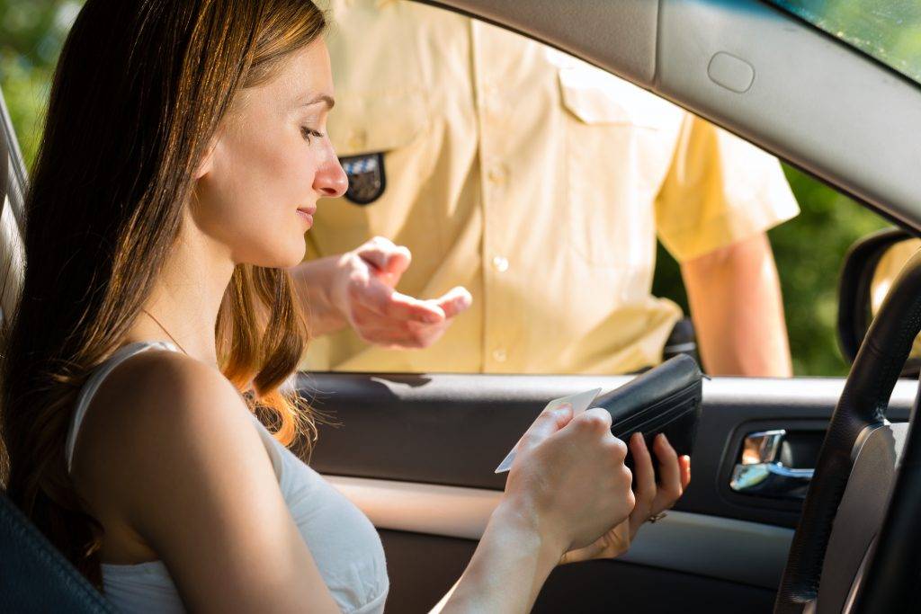 Constitutionality of Traffic Stops